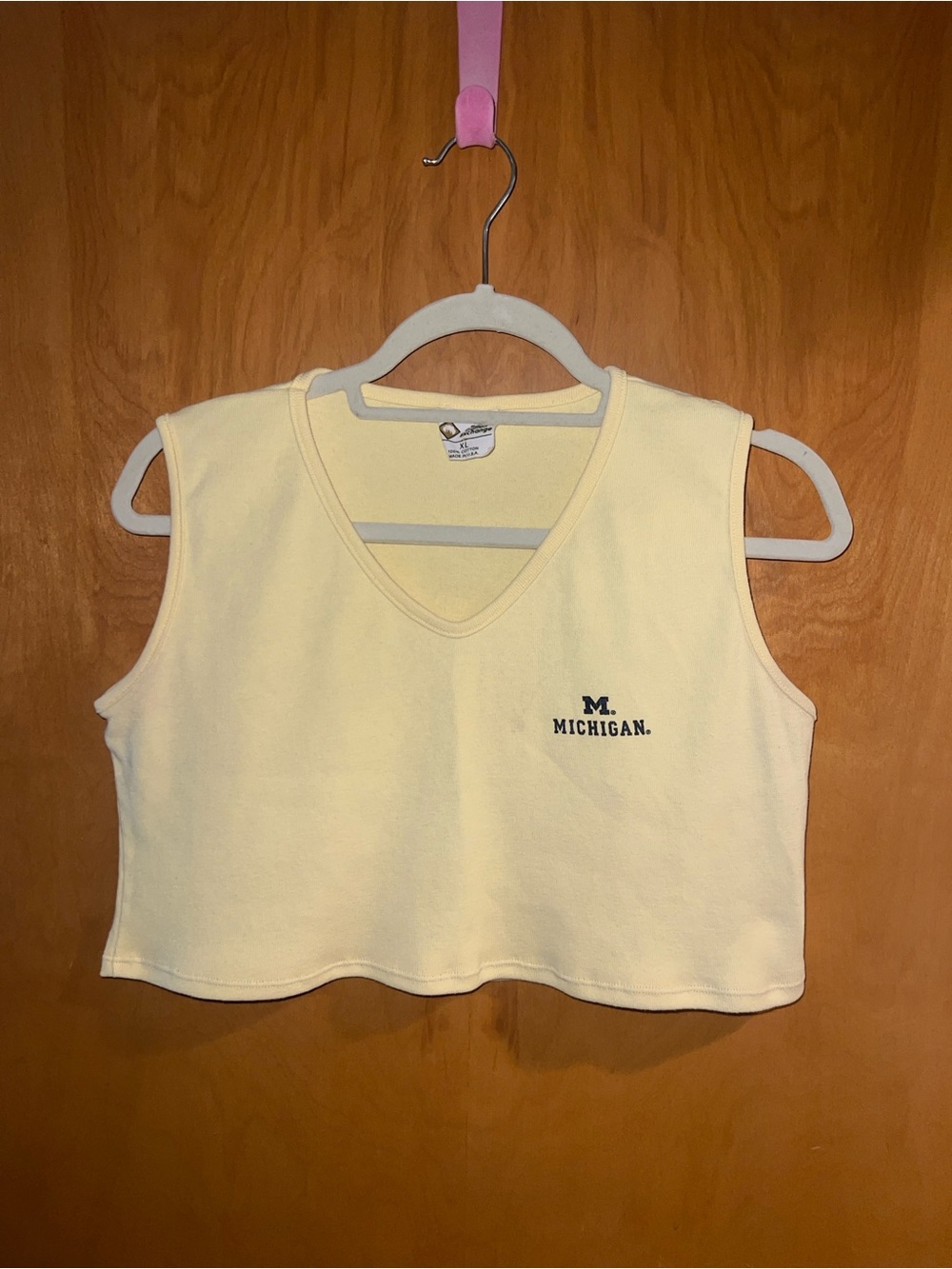 Butter Yellow University of Michigan crop top